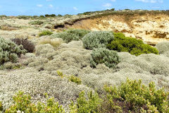 Bay of Martyrs - Great Ocean Road - Victoria