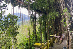 Bunut Bolong - Medewi - West Bali