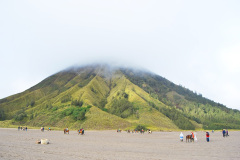 Bromo Java Indonesia