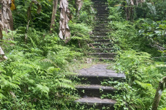 Juwuk Manis - Medewi - West Bali