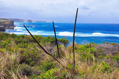 The 12  Apostles  - Great Ocean Road - Victoria