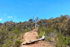 Werribee Gorge - VIC