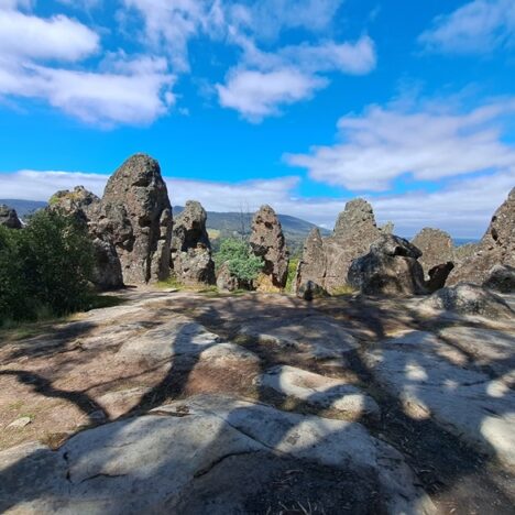 How to name your Travel Blog