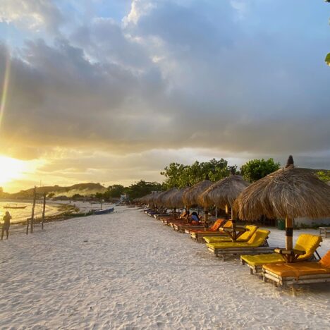 Glen Innes, Ancient Rainforests & Beardy Stuff