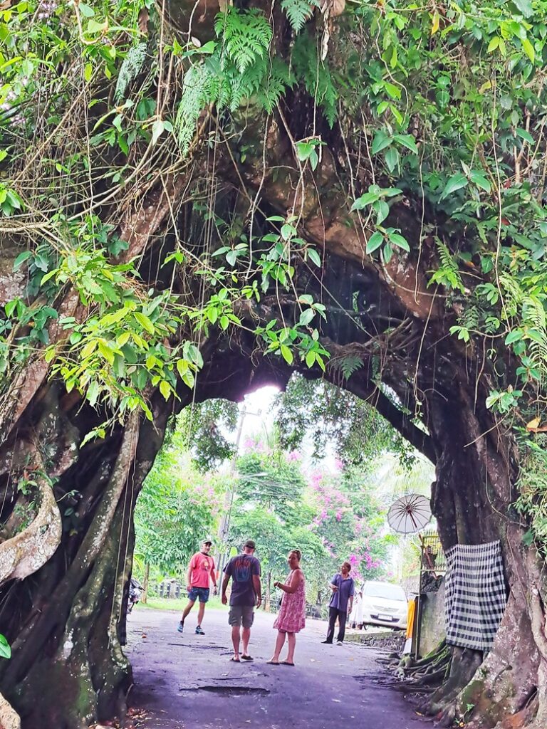 Bunut Bolong - Medewi - West Bali