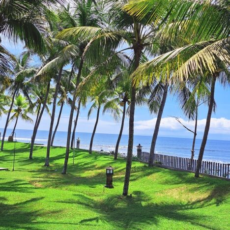 Short Circuiting on the Long Circuit Werribee Gorge