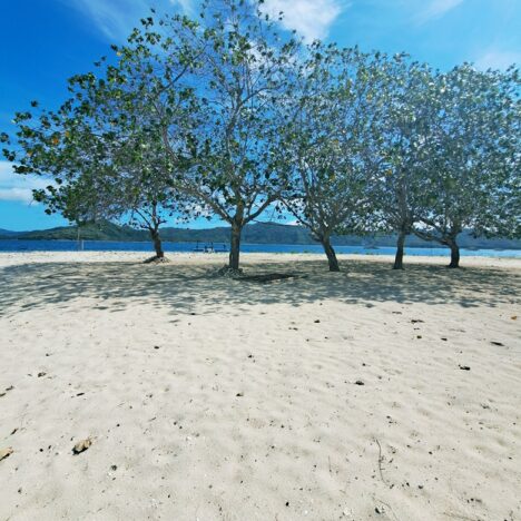 Short Circuiting on the Long Circuit Werribee Gorge