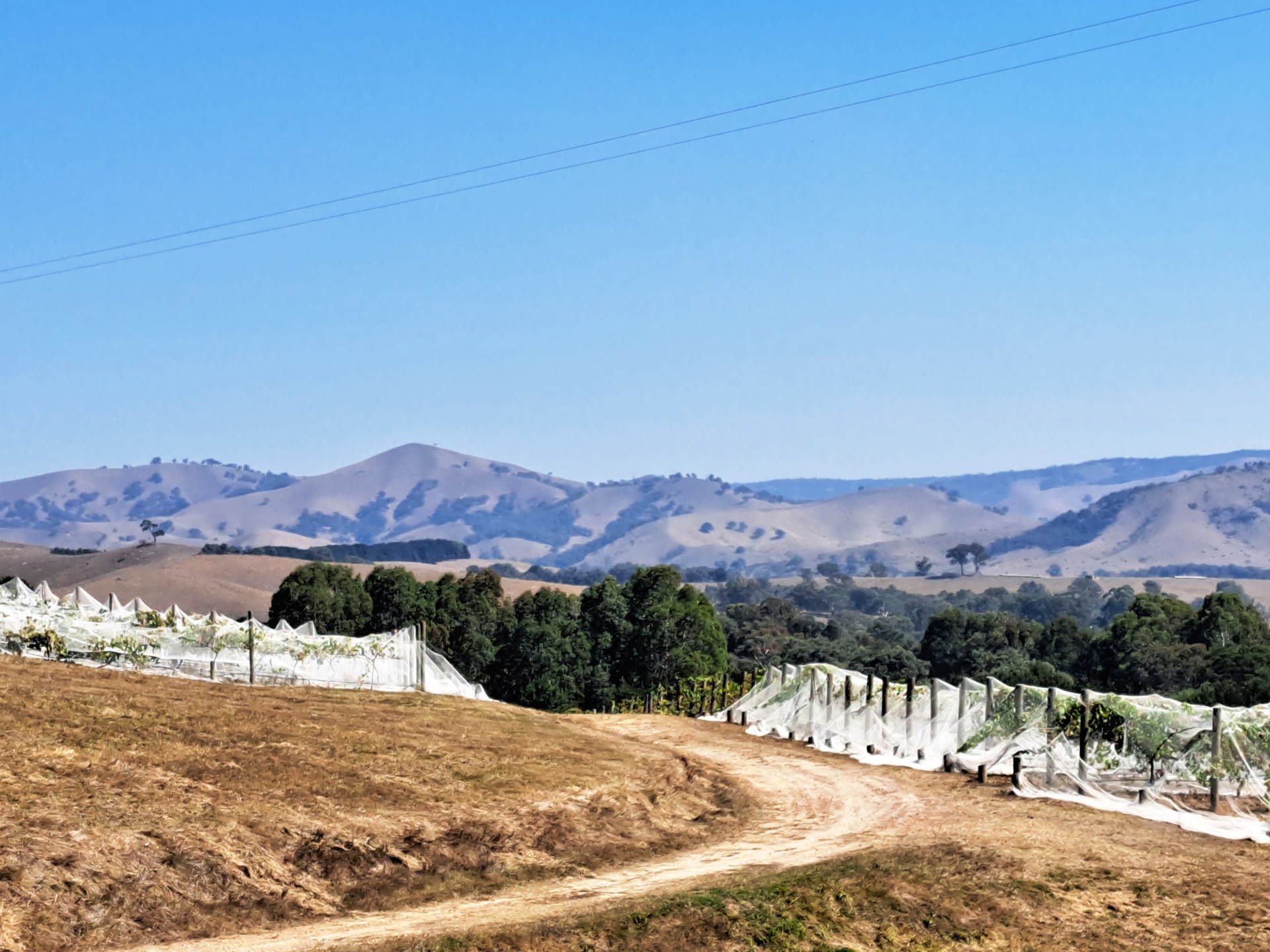 Sedona Winery near Yea