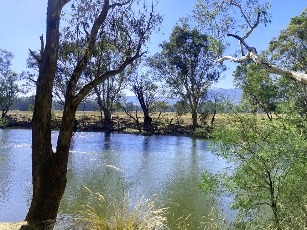 Great spot for trout fishing at Yea