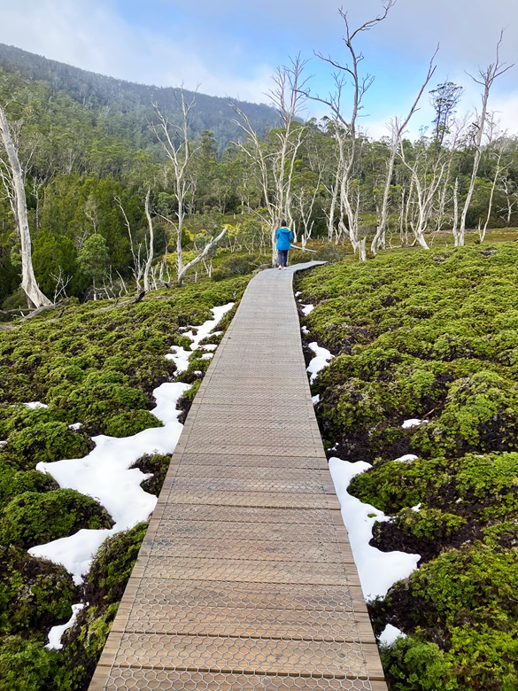 Cradle Valley Boardwalk trail, Cradle Mountain