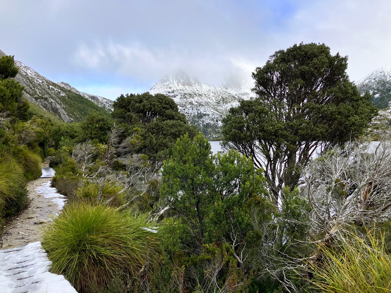 Dove Lake Circuit Trail