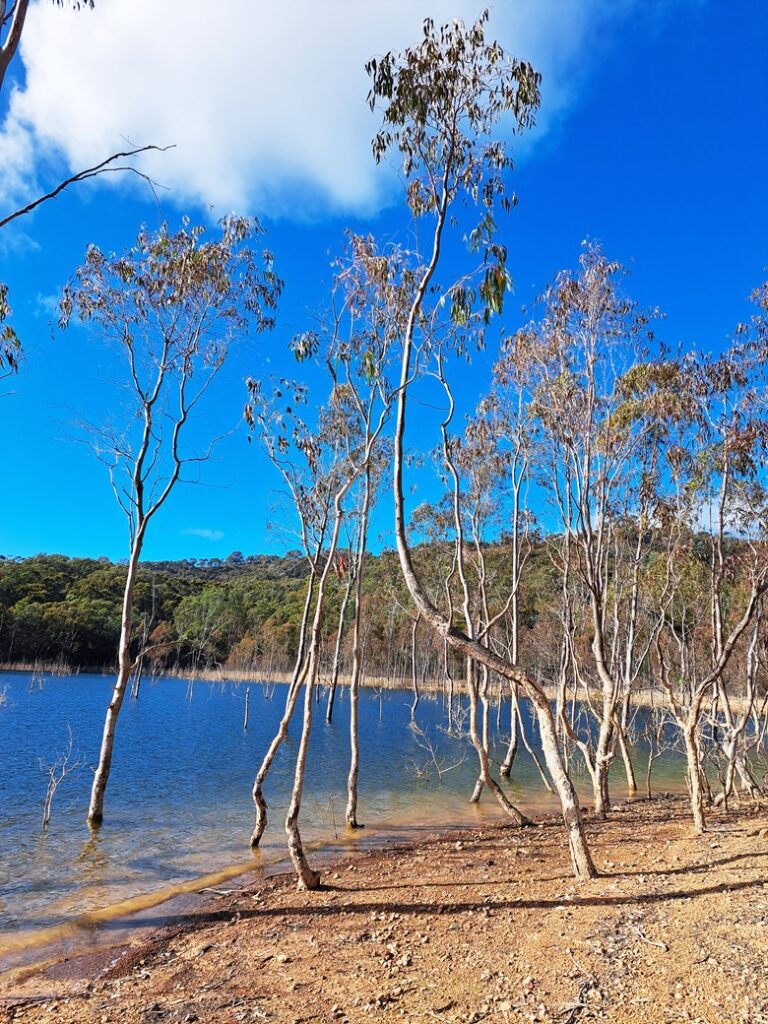 Lake Eildon