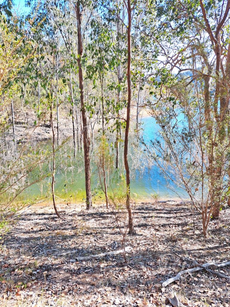 Lake Eildon