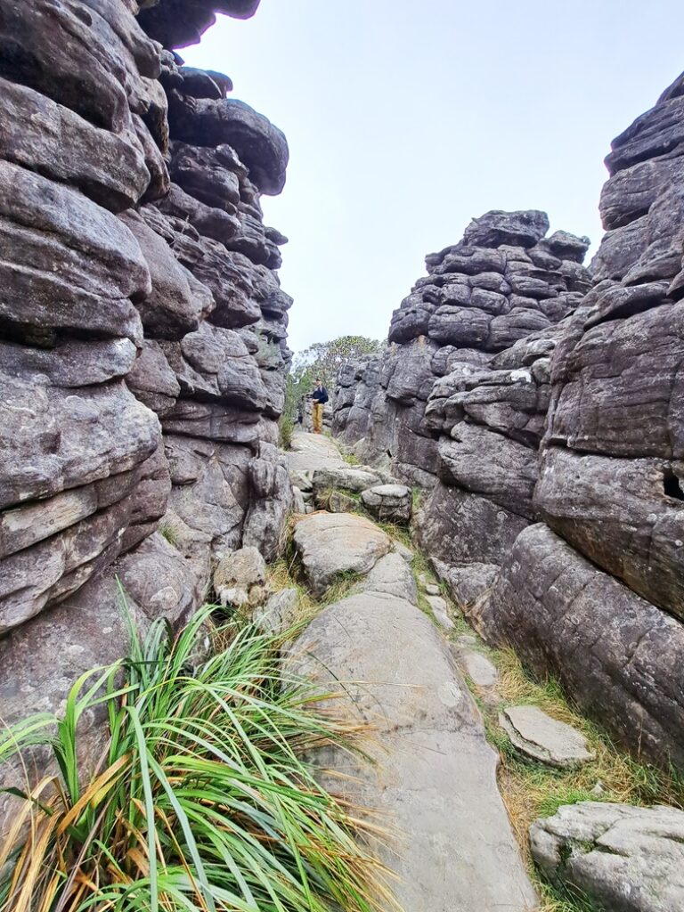 A Pinnacle moment in the Grampians
