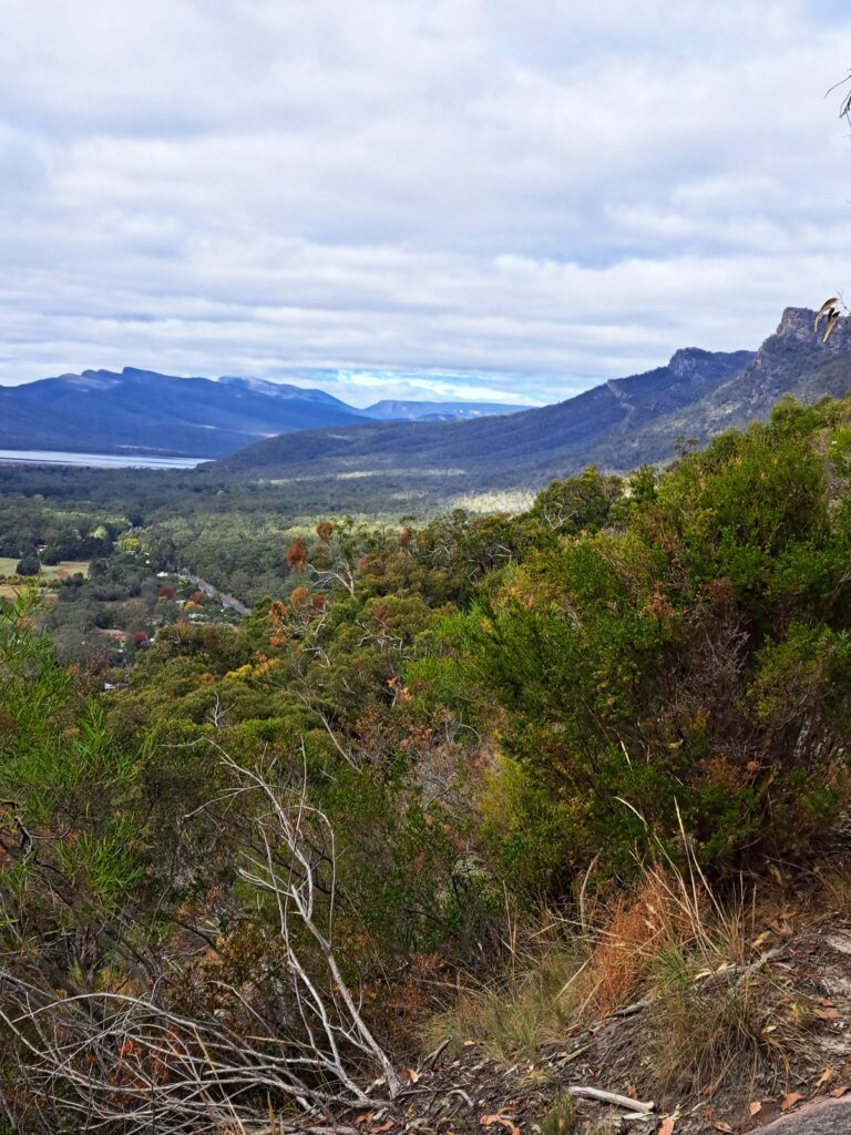 Halls Gap view