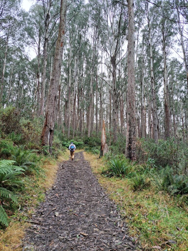 Twin Peak number 2 - Mt Stirliing
