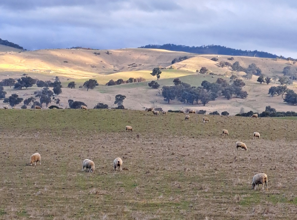 Enroute to Mansfield and the Twin Peaks