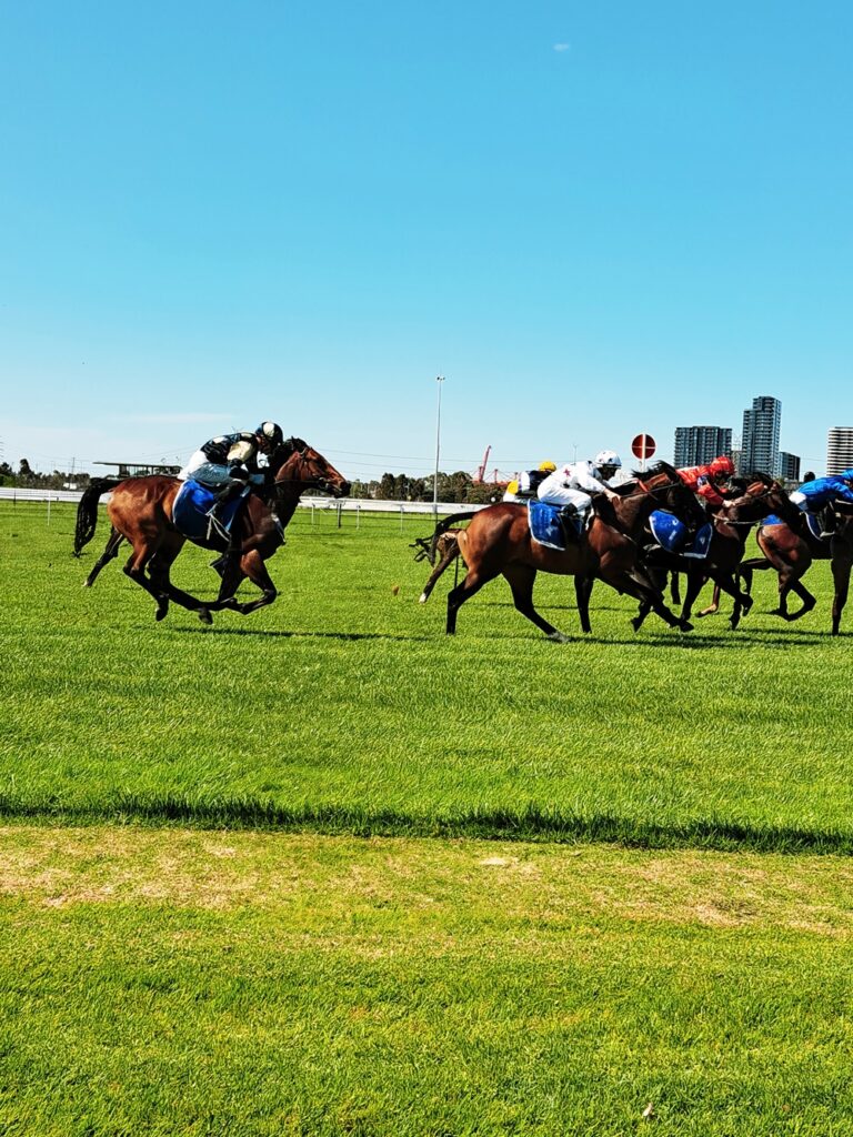 Trackside Melbourne Cup