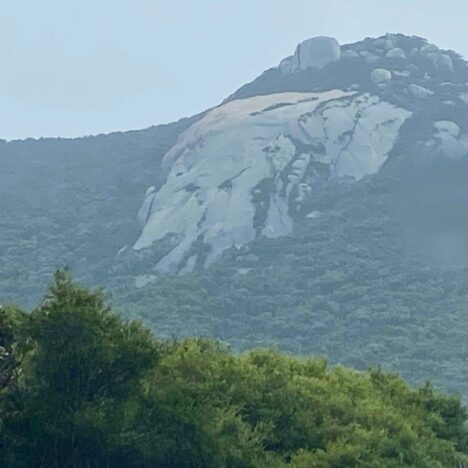 Exploring the G & Luminary Leonardo