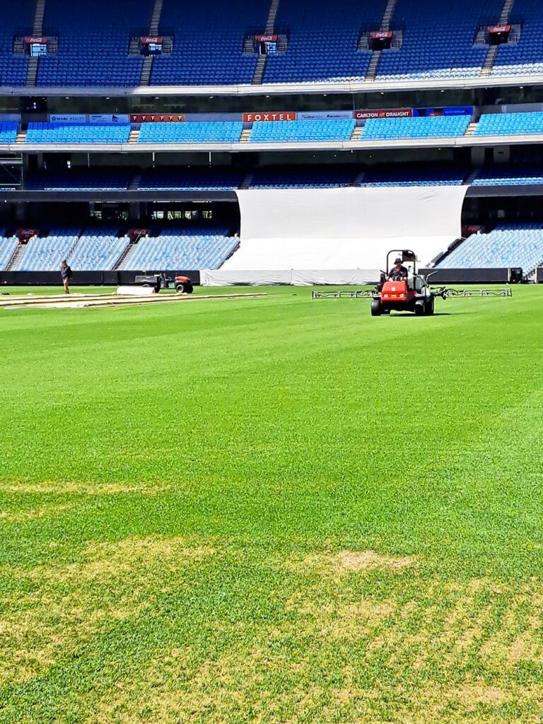 MCG grounds