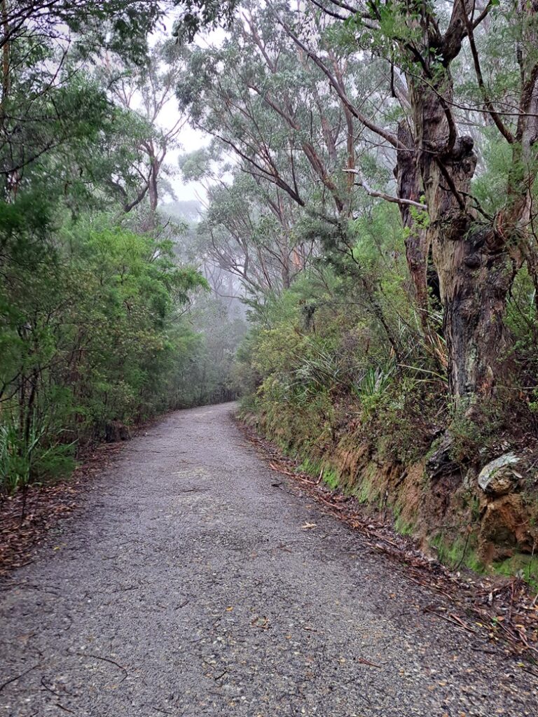 Woolly Wilson's Prom