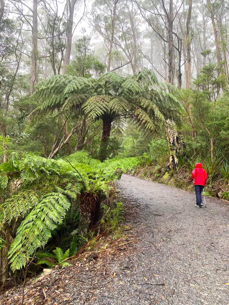 Wild & Wooly Wilson's Prom