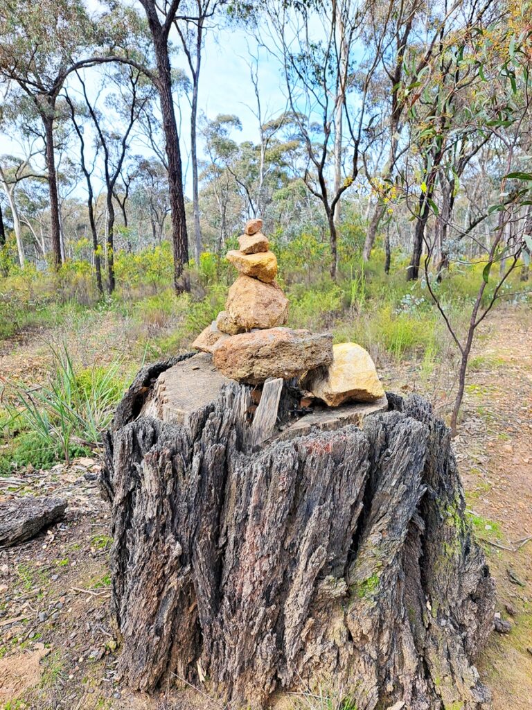 Bushland Trail and Wildflower Drive loop