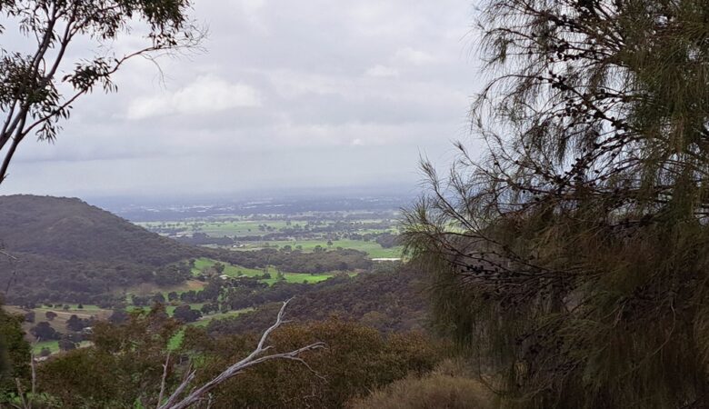 Bushwacking in the Wang