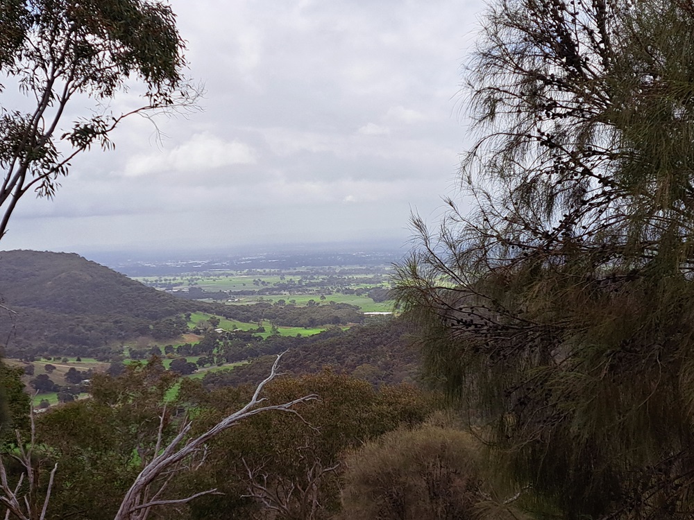 Bushwacking in the Wang