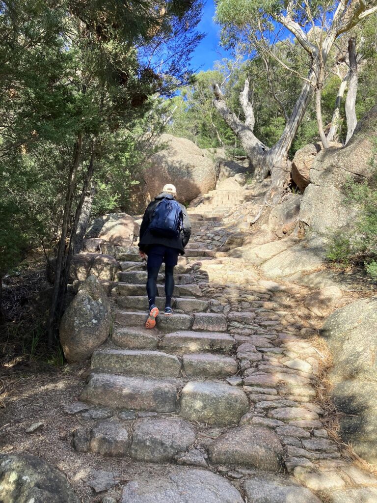 Hub in Hobart to Frecyinet