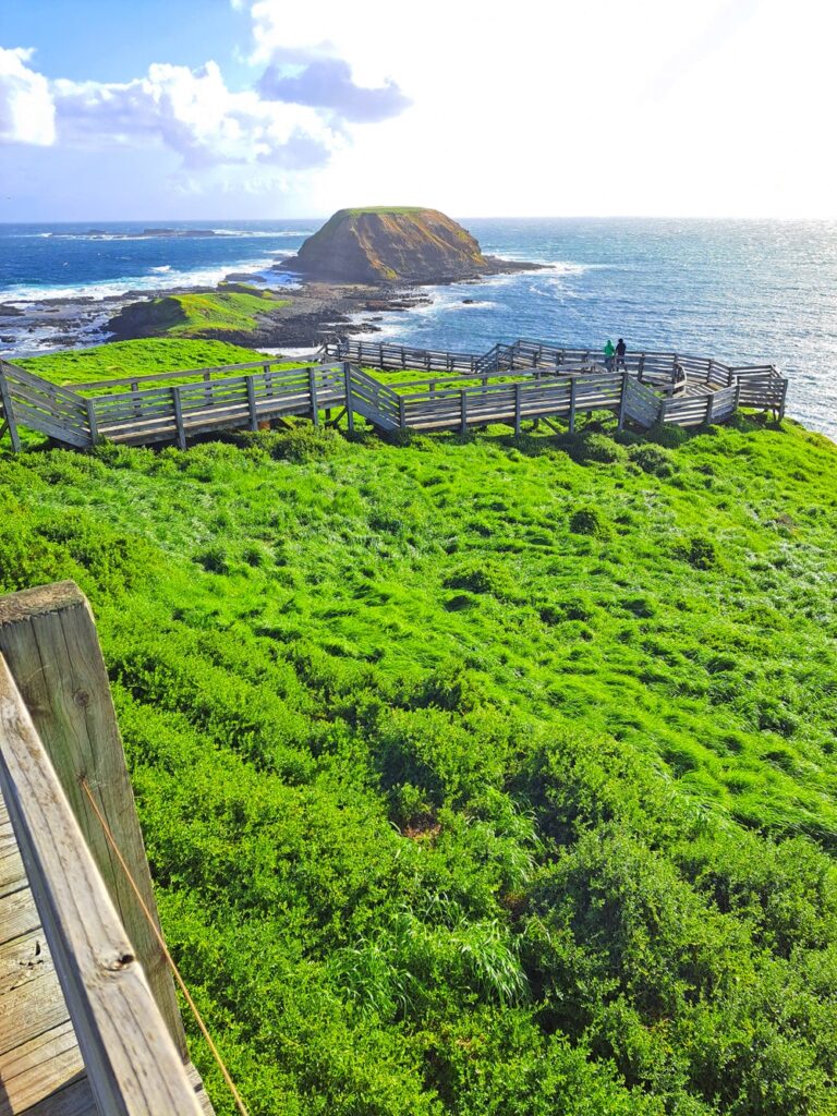 The Nobbies Phillip Island