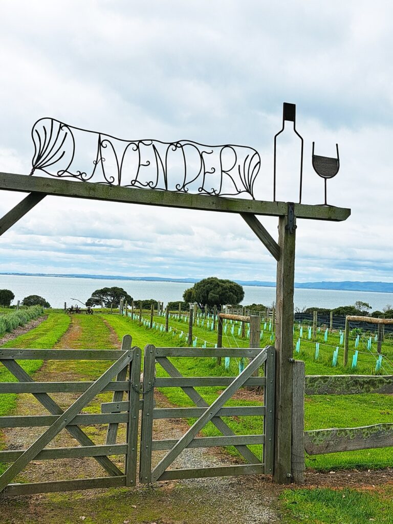 Lavender Farm Phillip Island