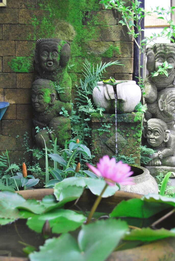 Enroute rice field walk