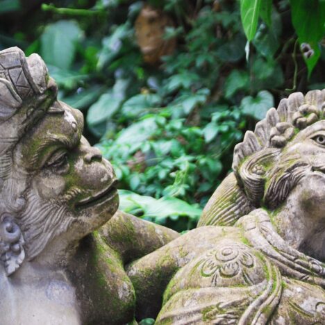 Whispers of Warburton