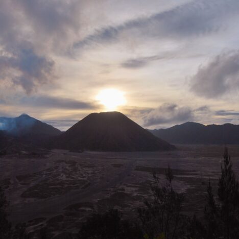 Bodacious Bukit Lawang