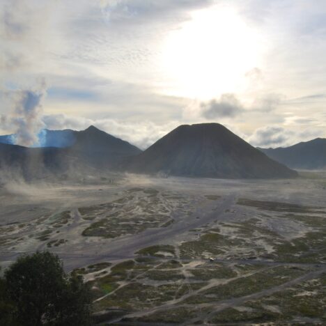 Bodacious Bukit Lawang