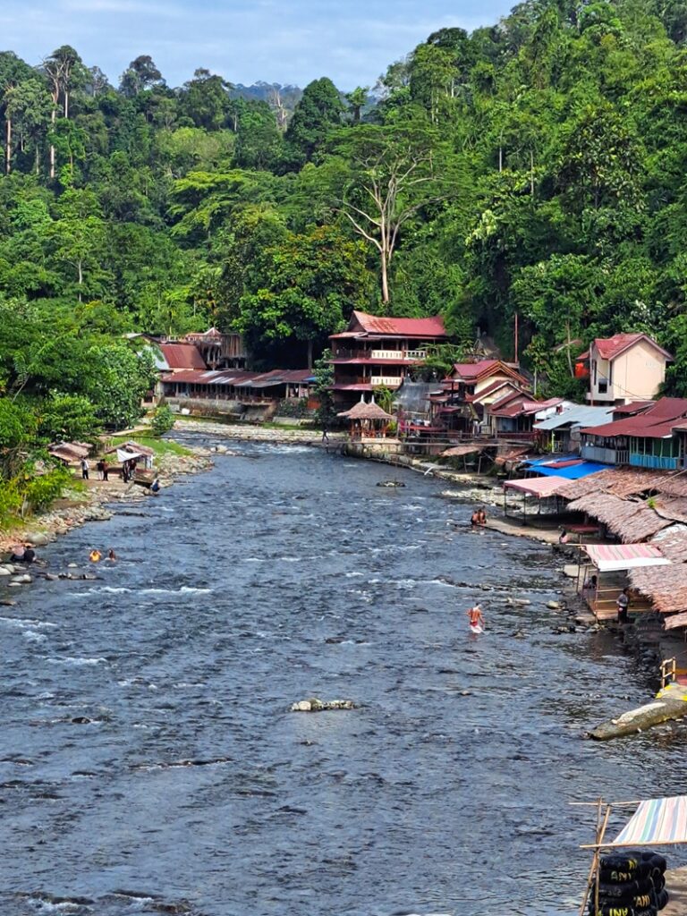 Bukit Lawang