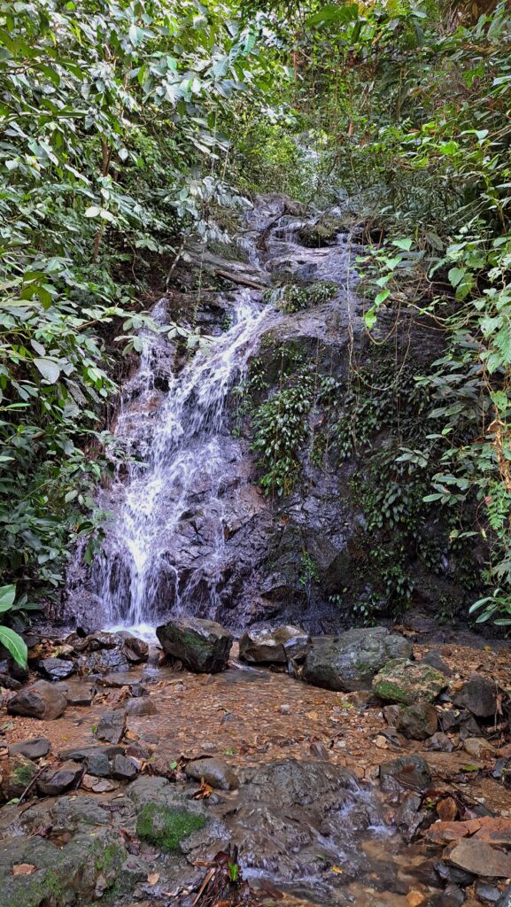 Trekking in Bukit Lawang