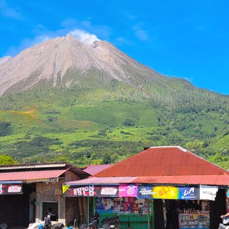 Bukit Lawang & the Orangutans