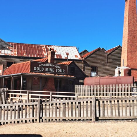 Baroon Bushbashing, a Flaming Recovery & Moreish Montville