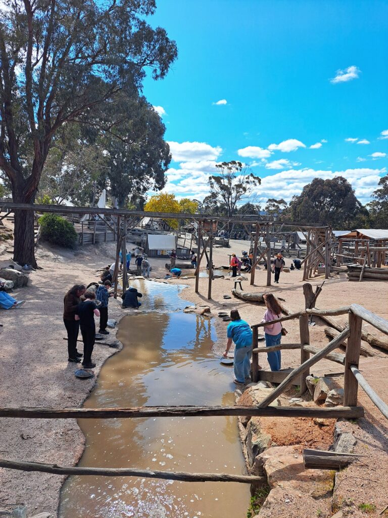 Gold fields at the Rat