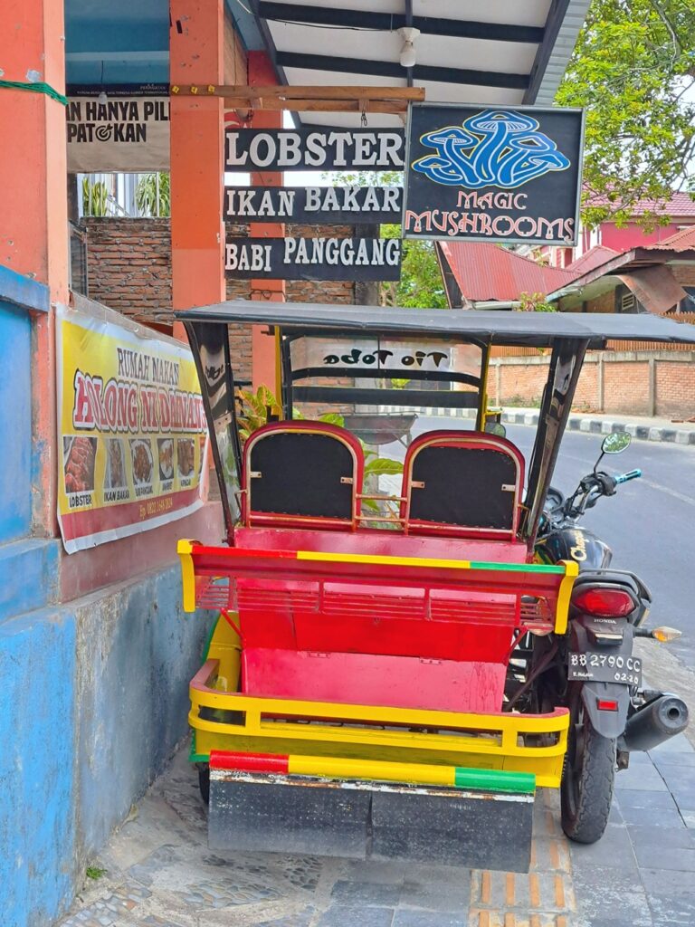 Tuk tuks at Lake Toba