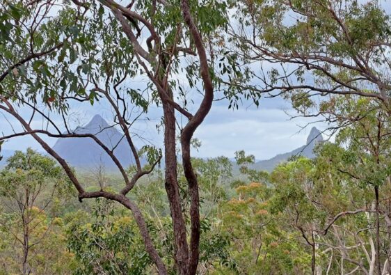 Glasshouse Mountains