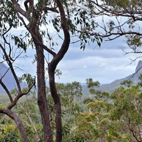 Strangler Cairns, Kenilworth & Conondale National Park