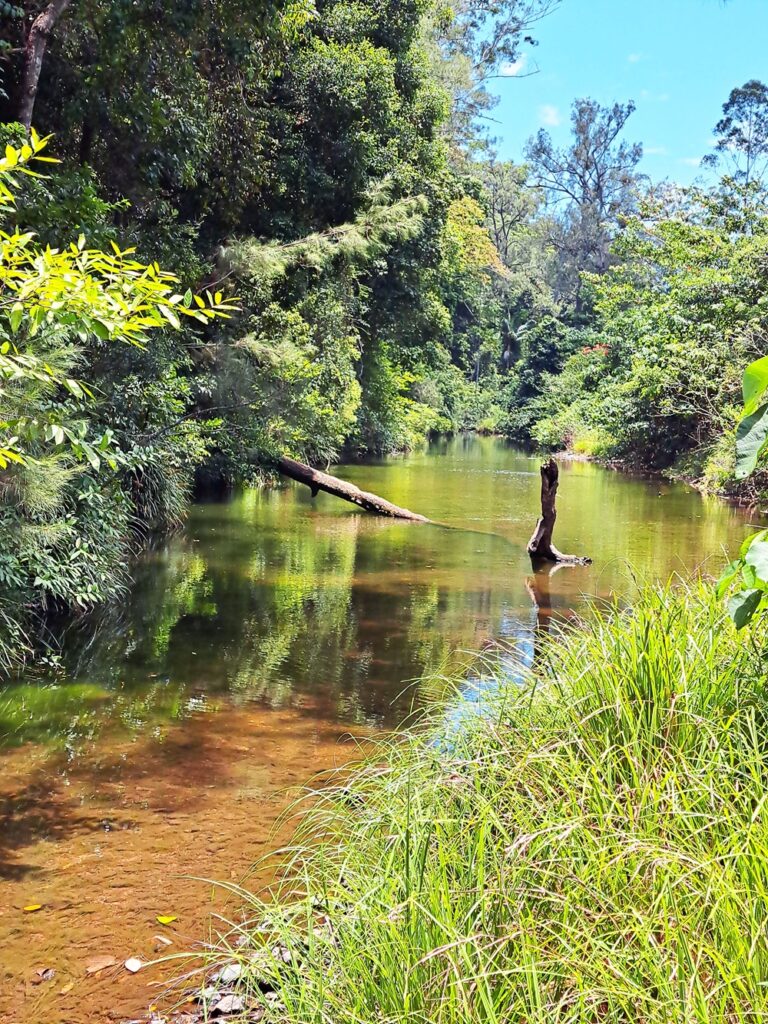 Conondale National Park