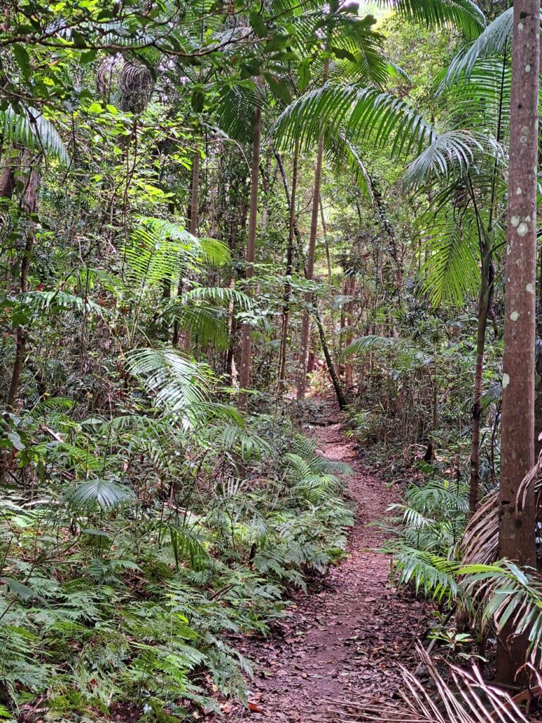 Conondale National Park