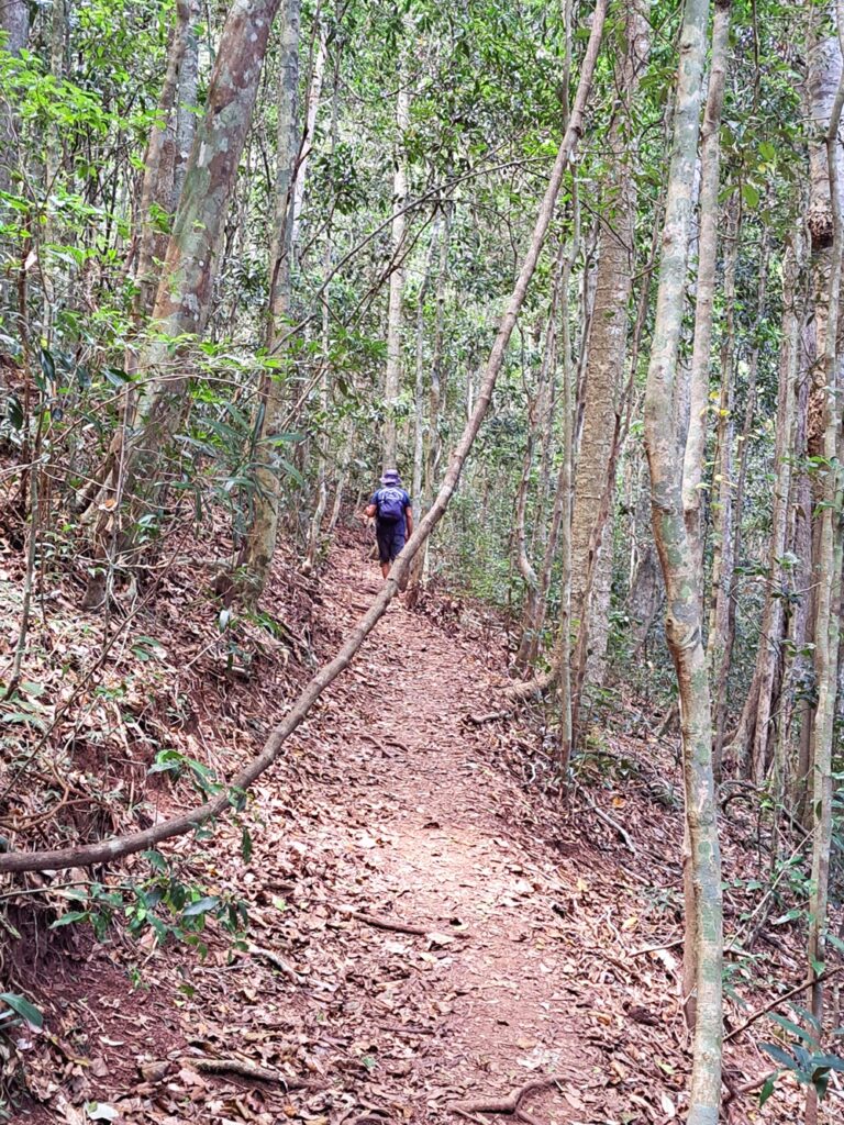 Strangler Cairn Trail