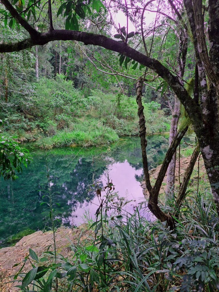 Conondale National Park