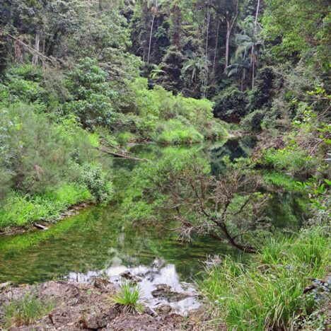 Conquering Mount Coolum & Trekking the Trachyte Trail