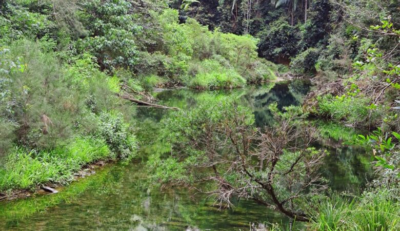 Conondale National Park